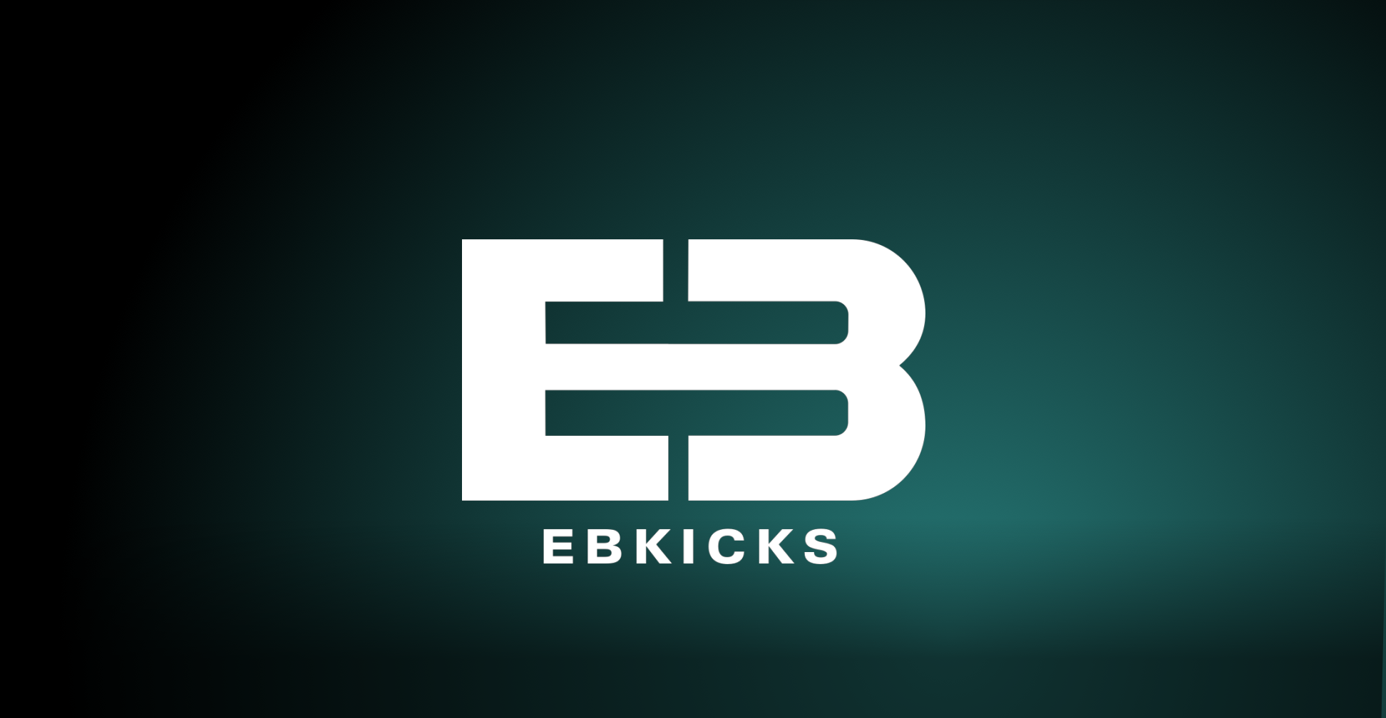 EBkicks Shoe Cleaner EBkicks Shoe Cleaner