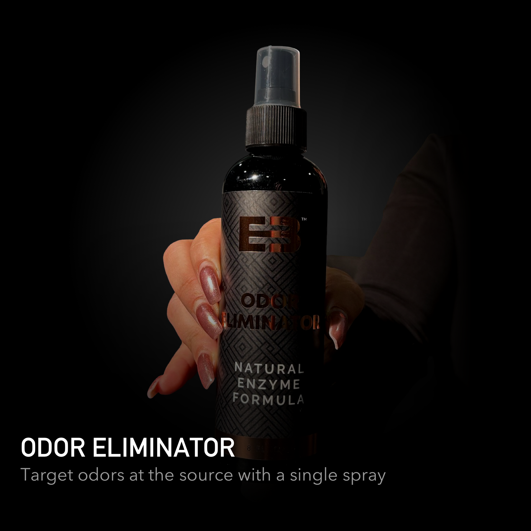 EBkicks Shoe Cleaner